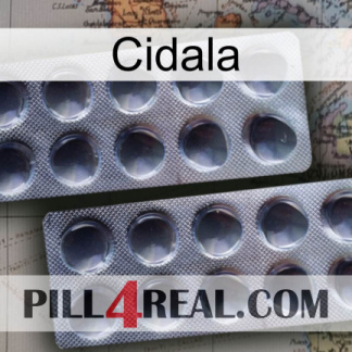 Cidala 31